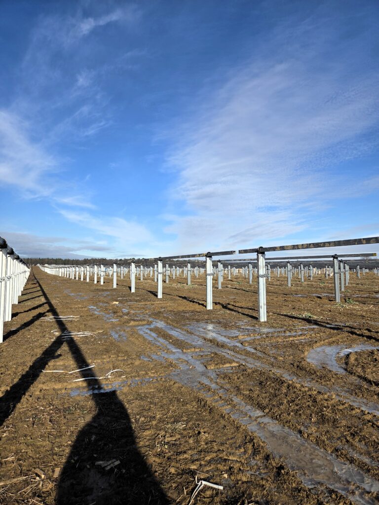BVH Agri PV Güssing
